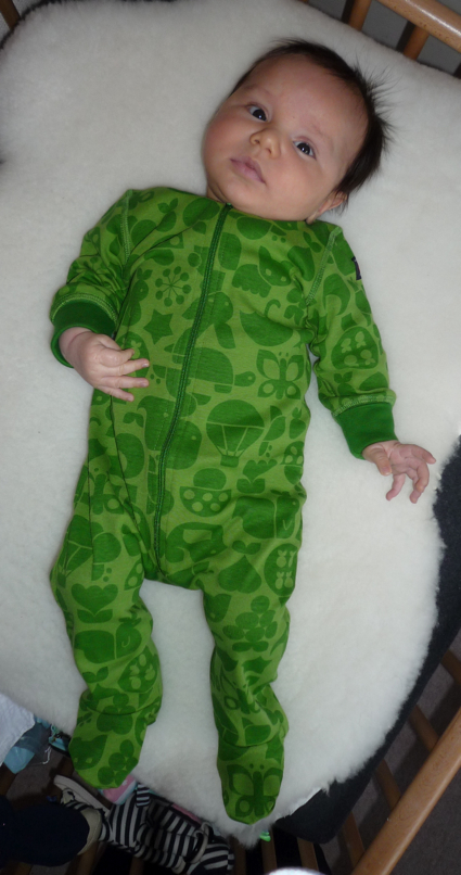 17 Dec green felix 2.jpg
